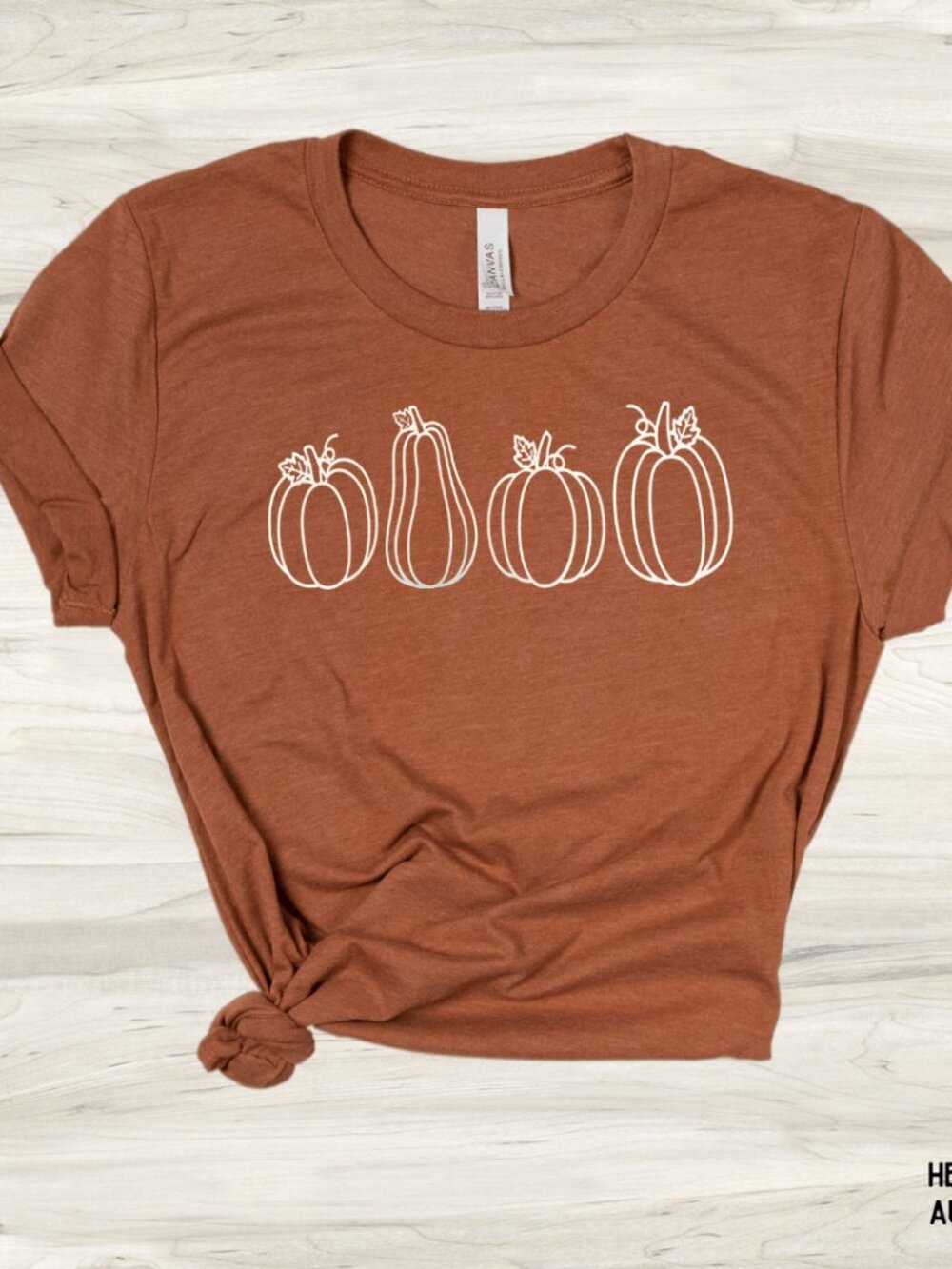 NWT Bella Canvas Oh My Gourd Unisex Graphic Tee Autumn Size Small